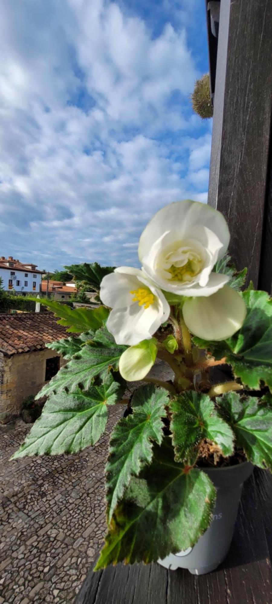 Apartament Casa Del Lavadero Santillana del Mar Zewnętrze zdjęcie