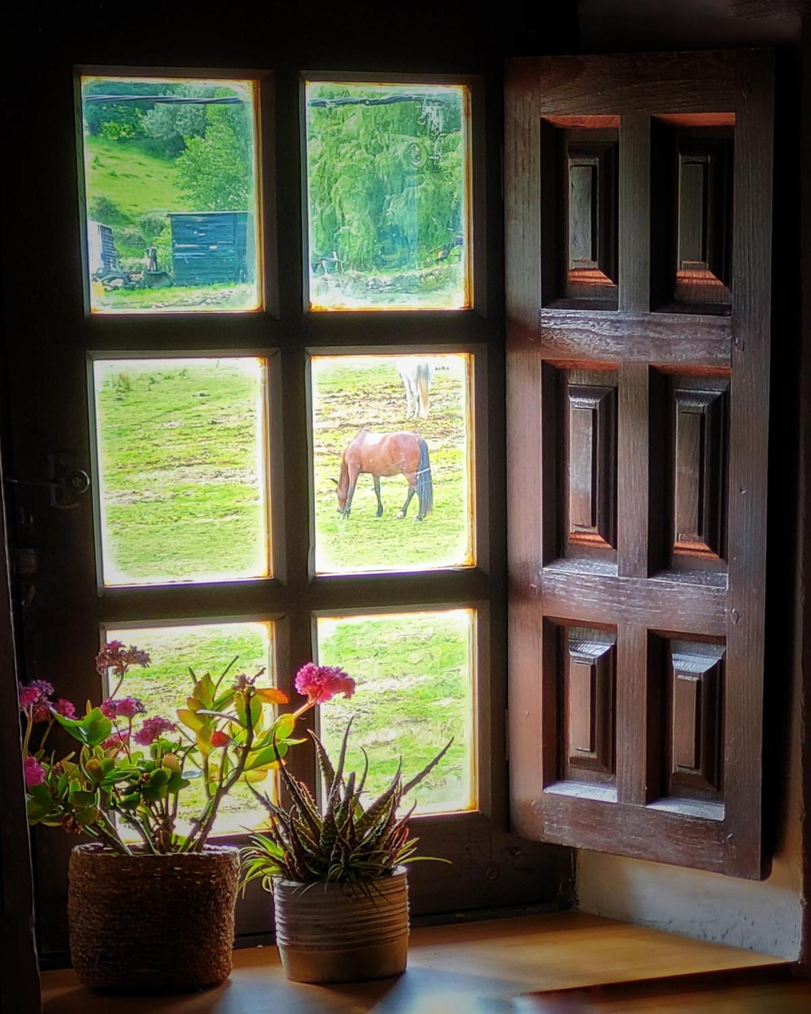 Apartament Casa Del Lavadero Santillana del Mar Zewnętrze zdjęcie